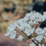 Lillian Mcgowanwb - @lillianmcgowanwb - Instagram