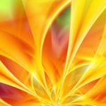 lillian mclaughlin price - @lillianmclaughlinprice1 - Instagram