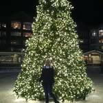 Lillian McLean - @lillianmclean607 - Instagram