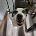 Lilly Meek - Facebook