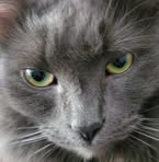 Lillian Menard - Facebook