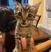 Lily Minton - Facebook