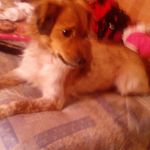liliana raquel varinho napier - @josenapier24 - Instagram