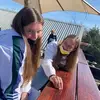 lil - @lilliansnyman - TikTok