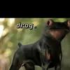 user5293283117588 - @lillianogden0 - TikTok
