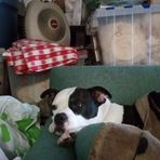 Lillian Oldham - Facebook