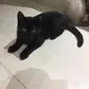 Unbreakebletwins_623 - @lillianoleary_1 - TikTok