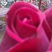 Lily Pappas - Facebook