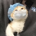 lill - @lillian.park - Instagram