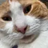 Lillian.parsons - @lillian.parsons7 - TikTok