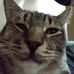 Lillian Patterson - Facebook