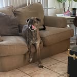 Liliana Pennington solberg - @solberglilianapennington - Instagram