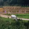 lilliannaplattx - @lilliannaplattx - TikTok