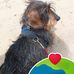 Lilian Potter - Facebook
