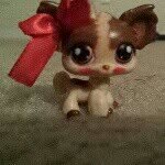 Lillian (Lilly) Potter - @lillian_lps_ - Instagram