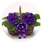 Lillian A. Pringle Holmes - @lillsews - Instagram