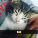 Lillian Rees - @reeslillian - Instagram