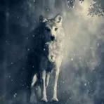 Lillian Renner - Facebook
