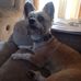 Lilian Roche - Facebook