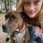 Lillian Hart-Rodgers - @lillianhartrodgers - Instagram