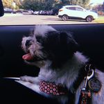 Lillian Rowe - @lillstagram620 - Instagram