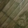 lillianrowe1999 - @lillianrowe1999 - TikTok