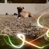 lvr - @lillian_rubio - TikTok