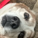 Lillian Rucker - @lillianrucker3 - Instagram