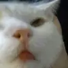 Lillian Rucker - @kitty1234567898 - TikTok