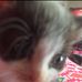 Lily Rutter - Facebook