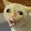 lilian.ryan - @lilian.ryan - TikTok