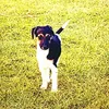 lilly sauer - @lillysauer15062008 - TikTok