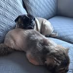 Lillian Saunders - @lillysaun2012 - Instagram