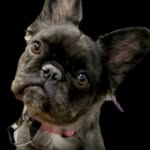 Lillian Saunders - @lillian.saunders.37 - Instagram