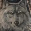 lillianschultz12 - @lillianschultz12 - TikTok