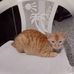 Lillian Seda - Facebook