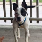 lillian seitz - @lilyseitz07 - Instagram