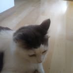 Lilly Sessions - Facebook