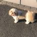 Lily Sheehan - Facebook