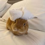 Lillian Short - @sallywalker473fpw - Instagram