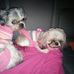 Lillie Slaughter - Facebook