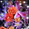 Lillian Needs863 - @user6120295797132 - TikTok