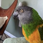 Lillian Snyder - @lillysnyder08 - Instagram