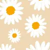 Lilyalstarcheer76 - @lillianspengler - TikTok
