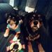 Lillian Spivey - Facebook