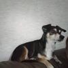 lillianspivey1997 - @lillianspivey1997 - TikTok