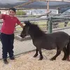 Lilian Suarez - @lilian.suarez72 - TikTok