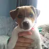 LILLIANTEAl - @lillianteal - TikTok