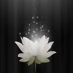 Lillian Tran - Facebook