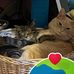 Lily Unger - Facebook